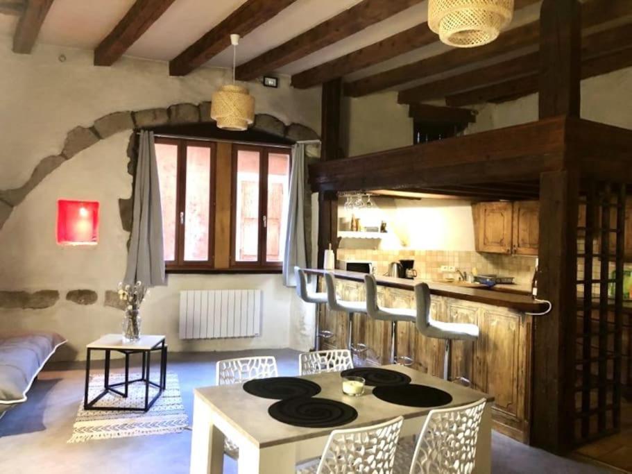L'Atypique, Bord Du Thiou Apartment Annecy Ngoại thất bức ảnh